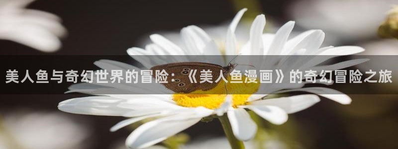 日韩漫画无遮挡：美人鱼与奇幻世界的冒险：《美人鱼漫画》的奇幻冒险之旅