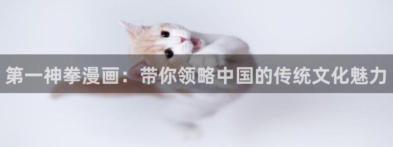 漫画韩漫涩涩：第一神拳漫画：带你领略中国的传统文化魅力