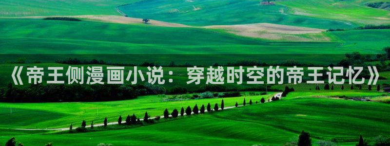 韩漫歪歪免费看：《帝王侧漫画小说：穿越时空的帝王记忆》