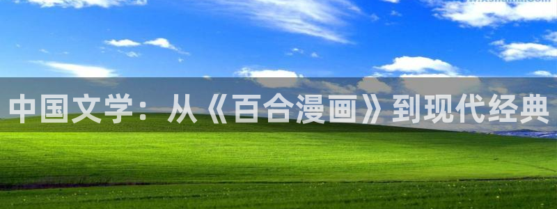 韩漫双男动漫：中国文学：从《百合漫画》到现代经典