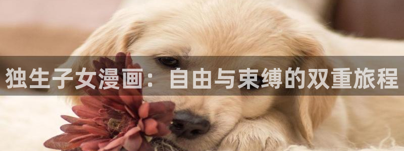 韩漫画全集免费阅读在线：独生子女漫画：自由与束缚的双重旅程
