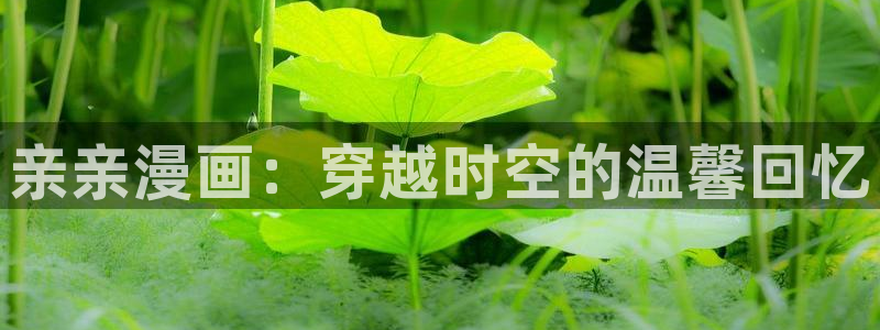 内涵漫画韩漫：亲亲漫画：穿越时空的温馨回忆